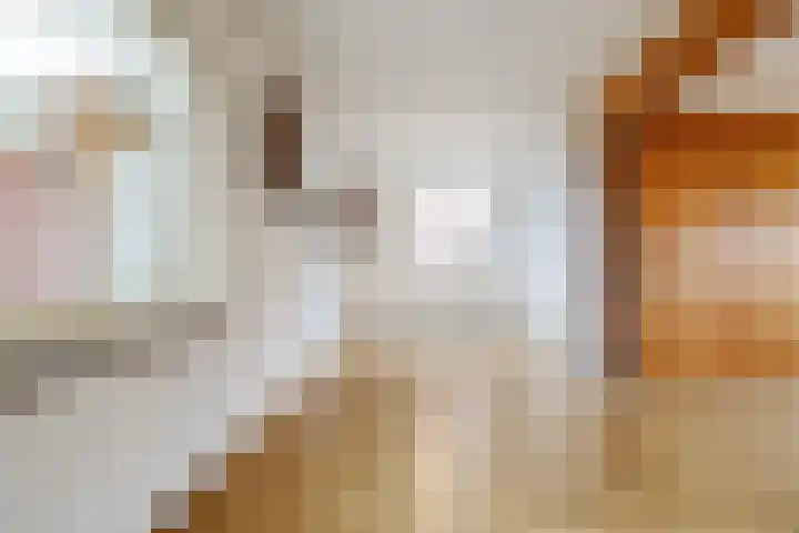 Linthorstlaan 40 Vriezenveen thumbnail 14