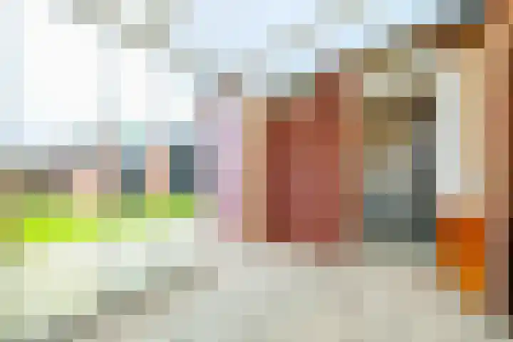 Linthorstlaan 40 Vriezenveen thumbnail 31