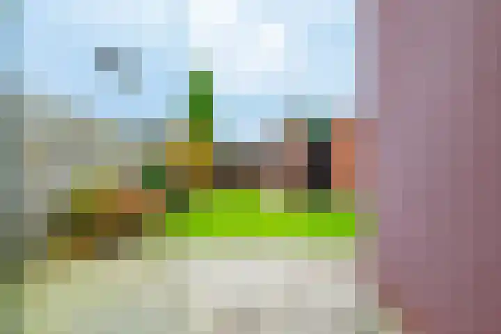 Linthorstlaan 40 Vriezenveen thumbnail 32