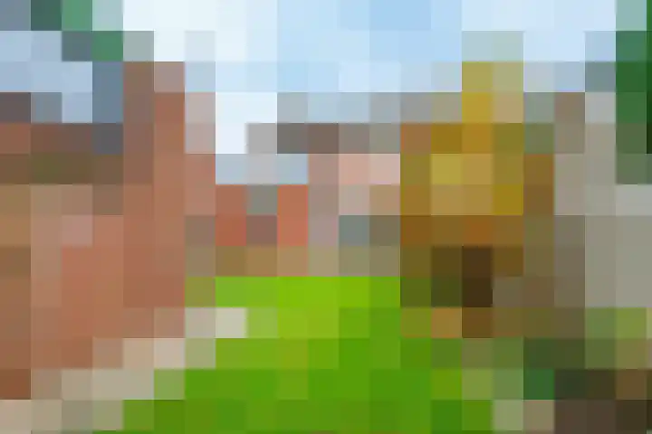 Linthorstlaan 40 Vriezenveen thumbnail 33