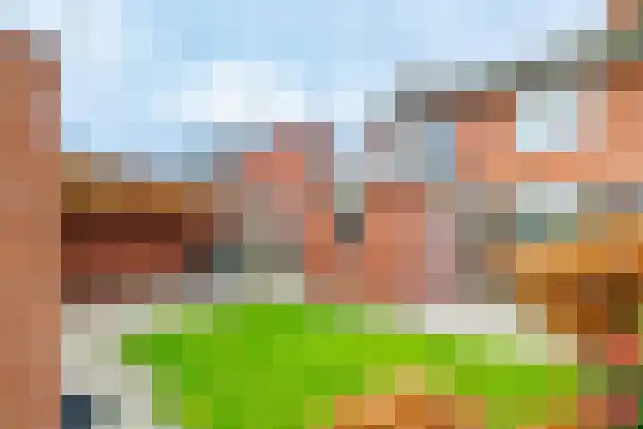 Linthorstlaan 40 Vriezenveen thumbnail 34