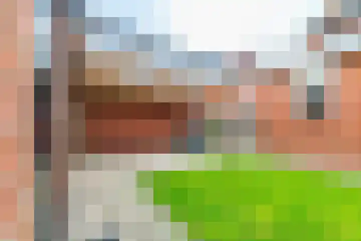 Linthorstlaan 40 Vriezenveen thumbnail 35