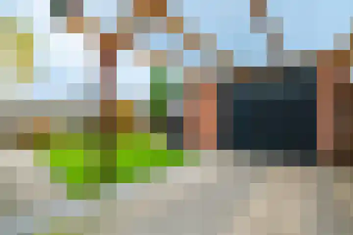 Linthorstlaan 40 Vriezenveen thumbnail 36