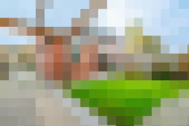 Linthorstlaan 40 Vriezenveen thumbnail 38