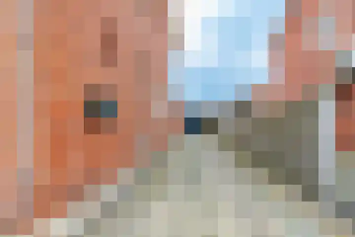 Linthorstlaan 40 Vriezenveen thumbnail 39