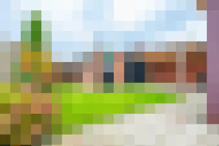 Linthorstlaan 40 Vriezenveen thumbnail 4