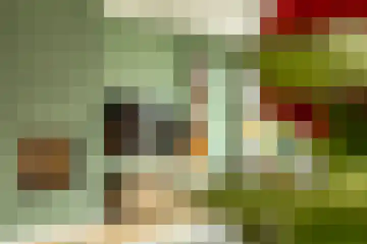 Linthorstlaan 42 Vriezenveen thumbnail 12
