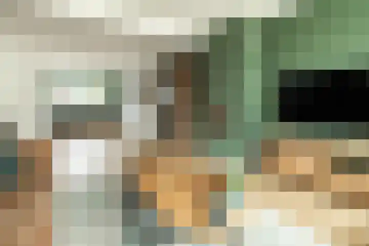 Linthorstlaan 42 Vriezenveen thumbnail 13