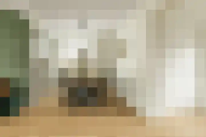 Linthorstlaan 42 Vriezenveen thumbnail 16