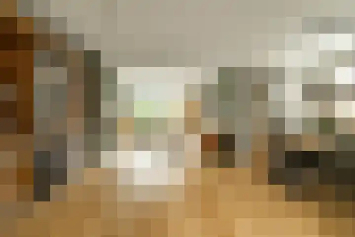 Linthorstlaan 42 Vriezenveen thumbnail 17