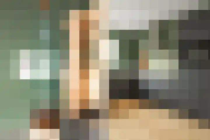 Linthorstlaan 42 Vriezenveen thumbnail 18