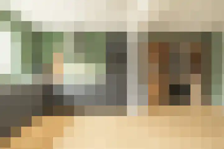 Linthorstlaan 42 Vriezenveen thumbnail 20