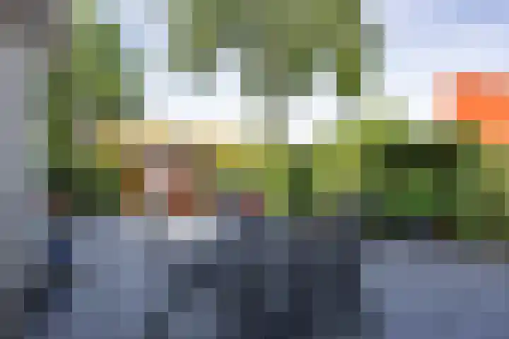 Linthorstlaan 42 Vriezenveen thumbnail 29