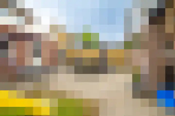 Linthorstlaan 42 Vriezenveen thumbnail 35