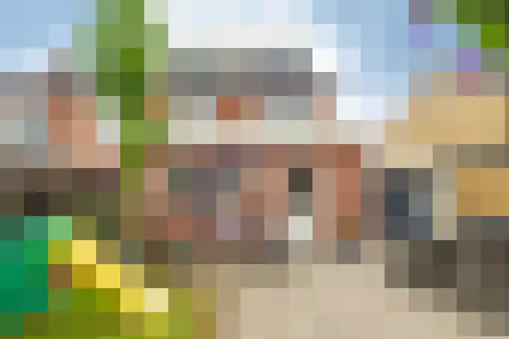 Linthorstlaan 42 Vriezenveen thumbnail 36