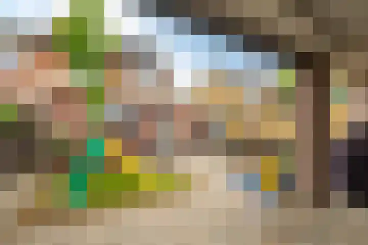 Linthorstlaan 42 Vriezenveen thumbnail 37