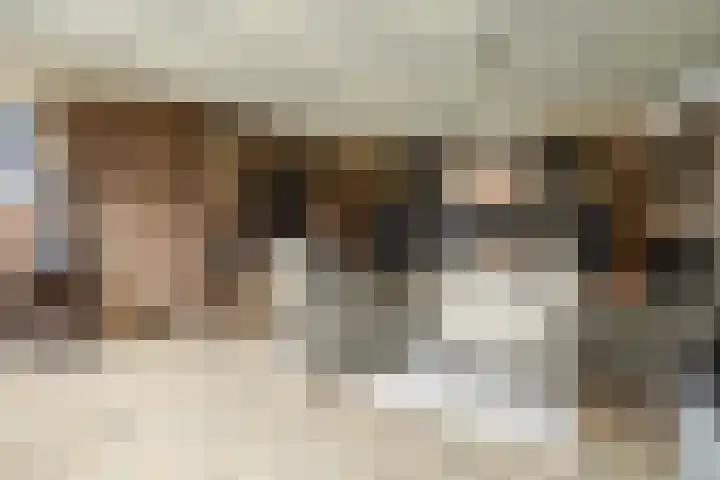 Linthorstlaan 42 Vriezenveen thumbnail 38