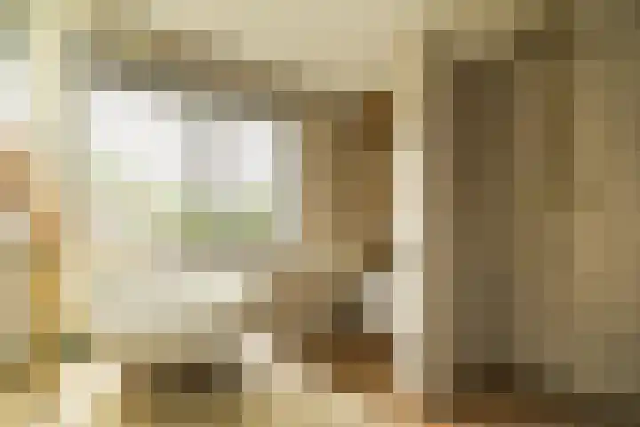 Linthorstlaan 42 Vriezenveen thumbnail 4