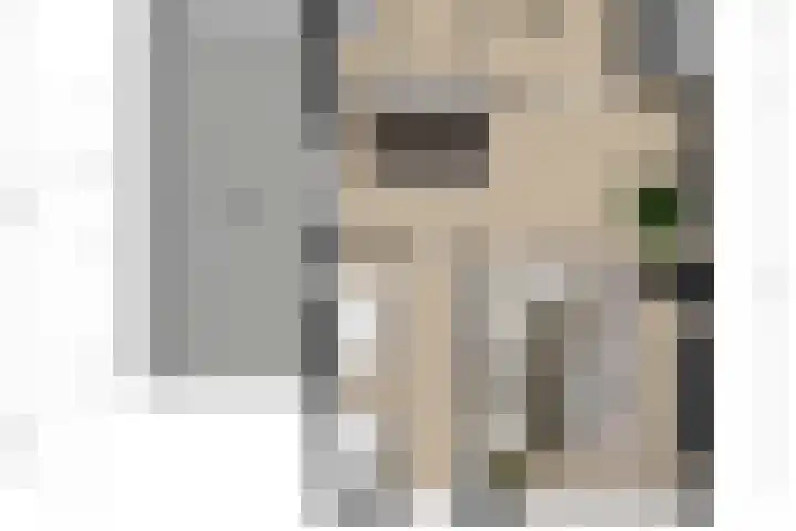 Linthorstlaan 42 Vriezenveen thumbnail 43