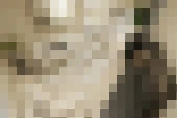Linthorstlaan 42 Vriezenveen thumbnail 47