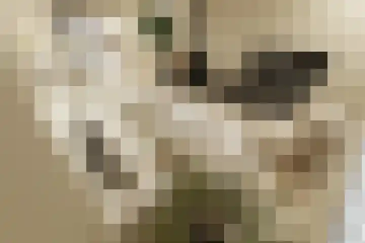Linthorstlaan 42 Vriezenveen thumbnail 48