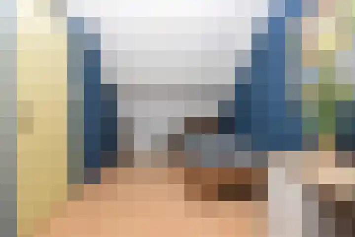 Linthorstlaan 42 Vriezenveen thumbnail 50