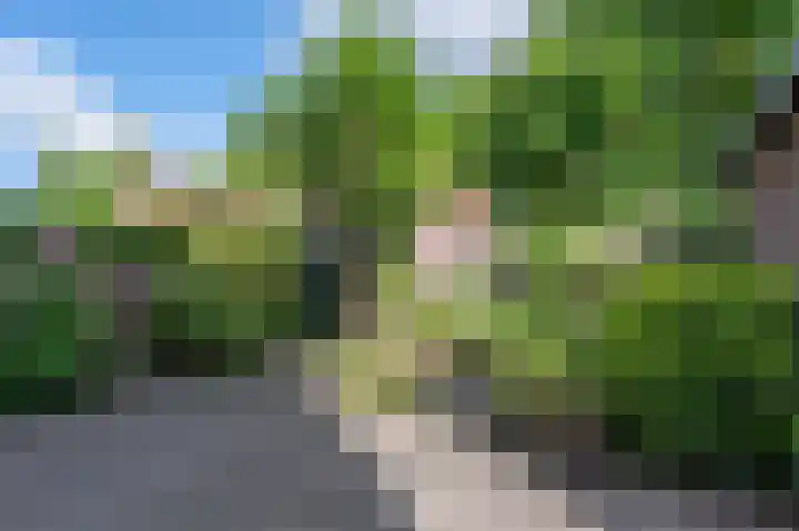 Lintjensstraat 15 Heerlen thumbnail 5