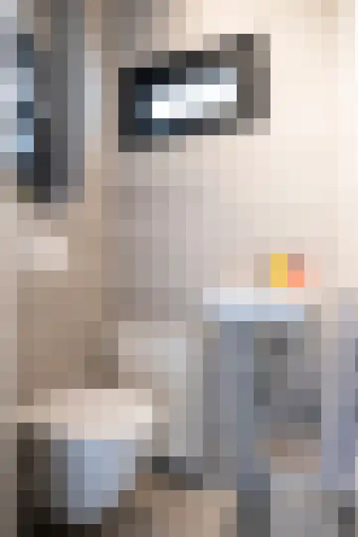 Lintjeshaag 20 Limbricht thumbnail 10