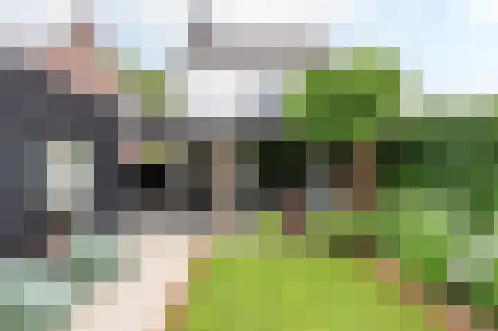 Lintjeshaag 20 Limbricht foto 2