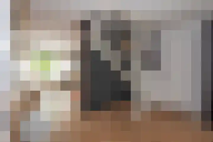 Lintjeshaag 20 Limbricht thumbnail 20