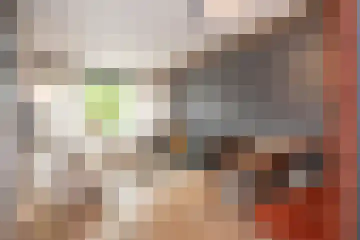 Lintjeshaag 20 Limbricht foto 3