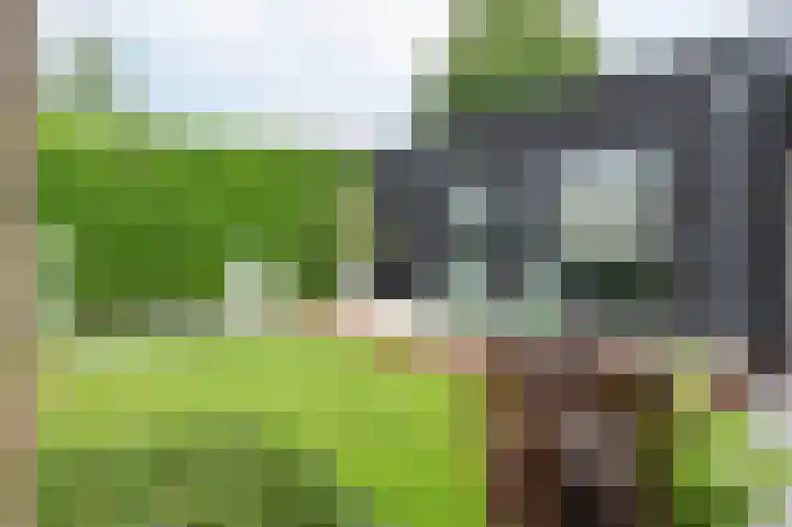 Lintjeshaag 20 Limbricht thumbnail 30