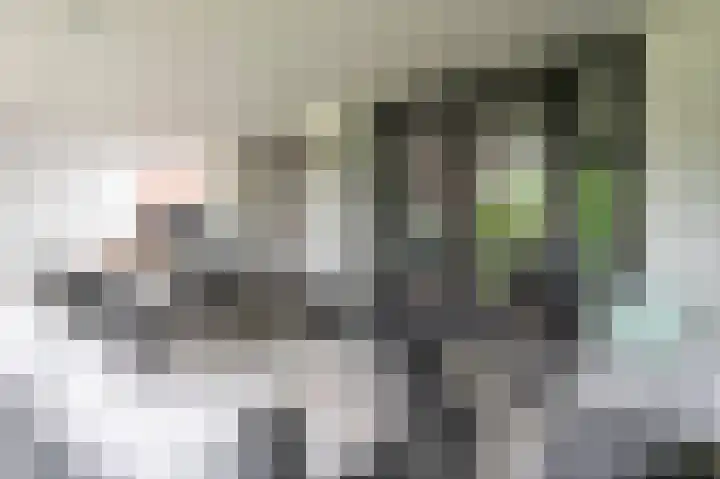 Lintjeshaag 20 Limbricht thumbnail 31