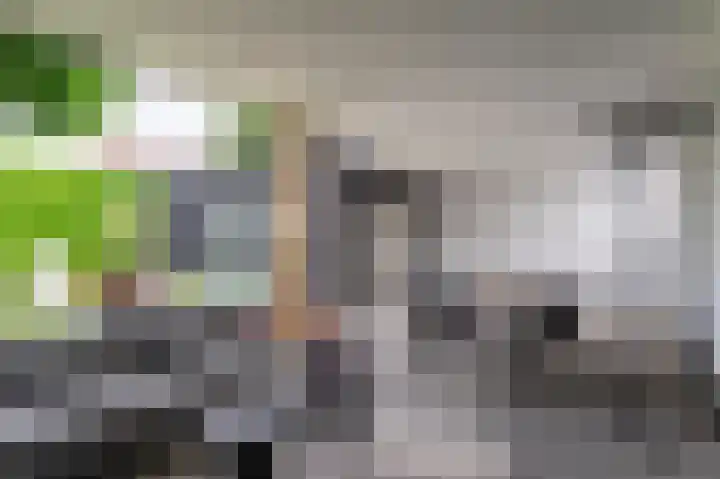 Lintjeshaag 20 Limbricht thumbnail 32
