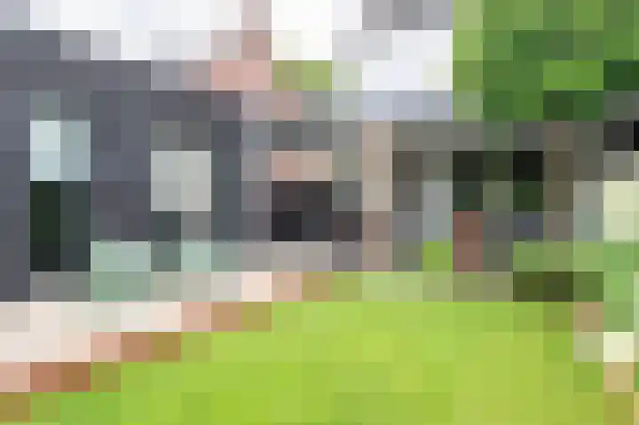 Lintjeshaag 20 Limbricht thumbnail 33
