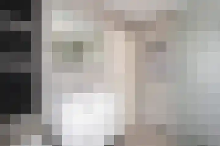 Lintjeshaag 20 Limbricht thumbnail 38