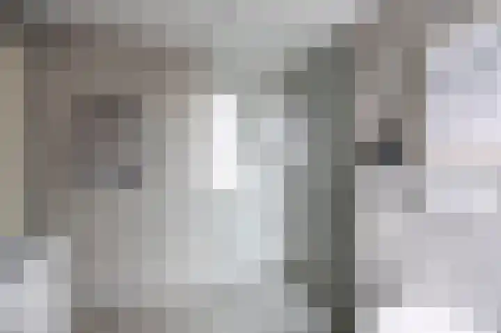 Lintjeshaag 20 Limbricht thumbnail 39