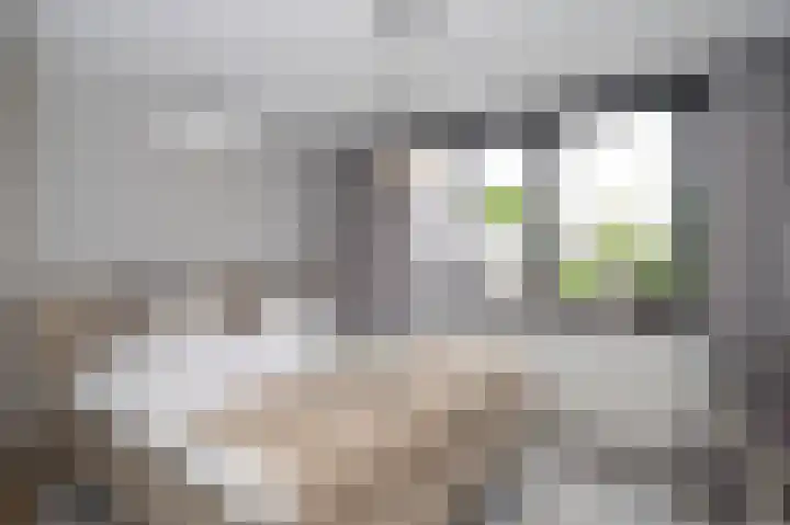 Lintjeshaag 20 Limbricht thumbnail 40
