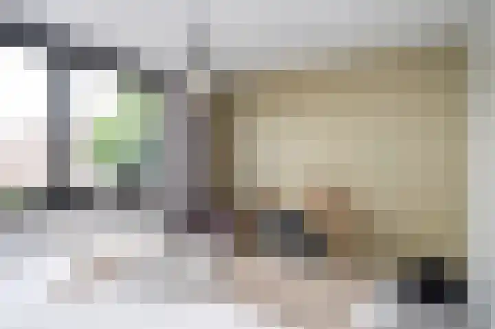 Lintjeshaag 20 Limbricht thumbnail 41