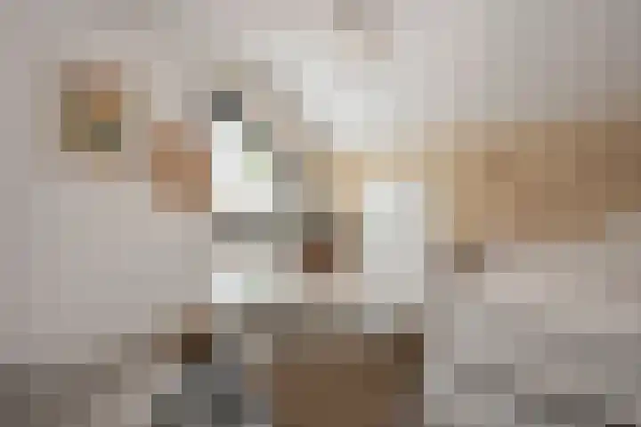 Lintjeshaag 20 Limbricht thumbnail 43