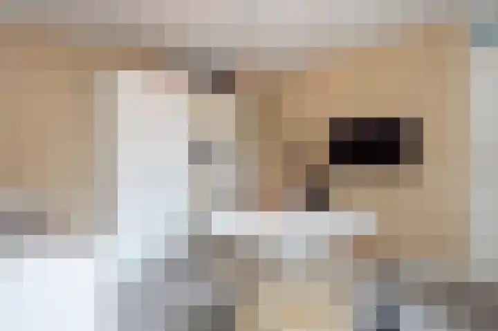 Lintjeshaag 20 Limbricht thumbnail 44