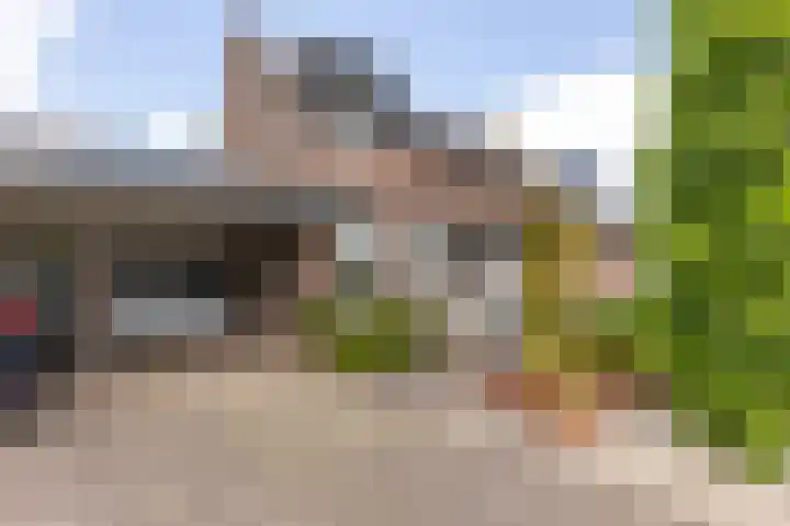 Lintjeshaag 40 Limbricht