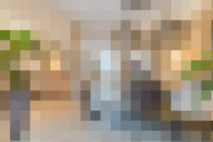 Linze 24 A Geldrop thumbnail 11
