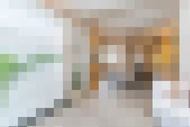 Linze 24 A Geldrop thumbnail 12