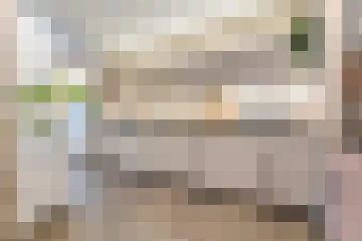 Linze 24 A Geldrop thumbnail 15