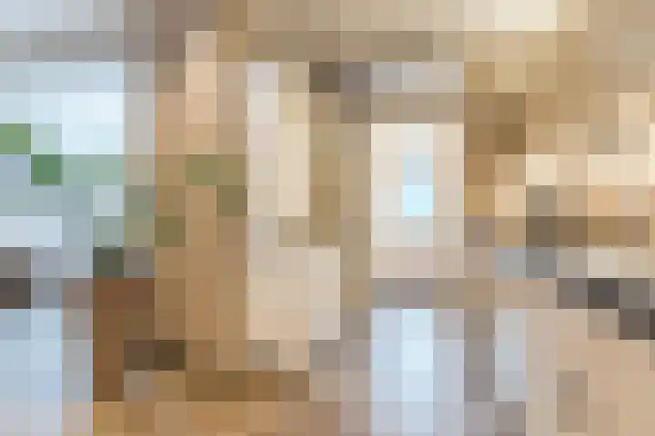 Linze 24 A Geldrop thumbnail 16