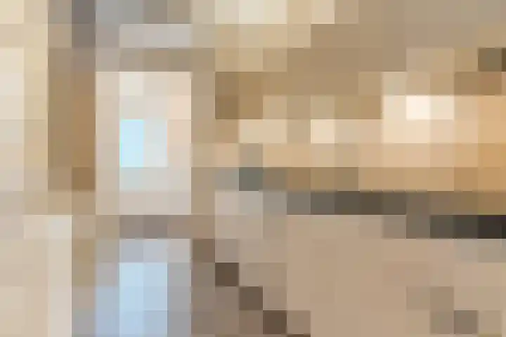 Linze 24 A Geldrop thumbnail 17