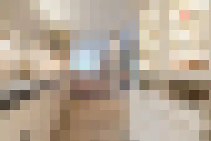 Linze 24 A Geldrop thumbnail 18
