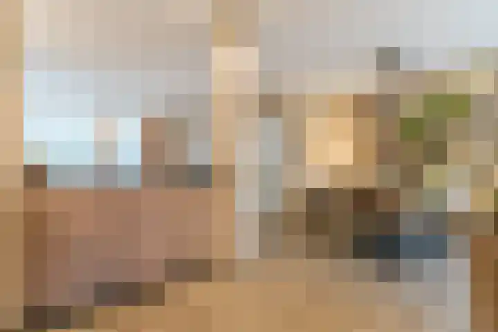 Linze 24 A Geldrop thumbnail 20
