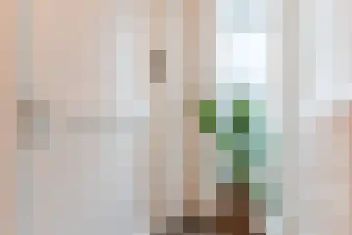 Linze 24 A Geldrop thumbnail 22